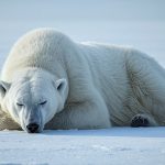 self-hypnosis focus forward hypnotherapy